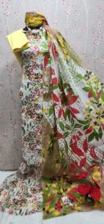 Afroji Delhi Boutique 3 pcs